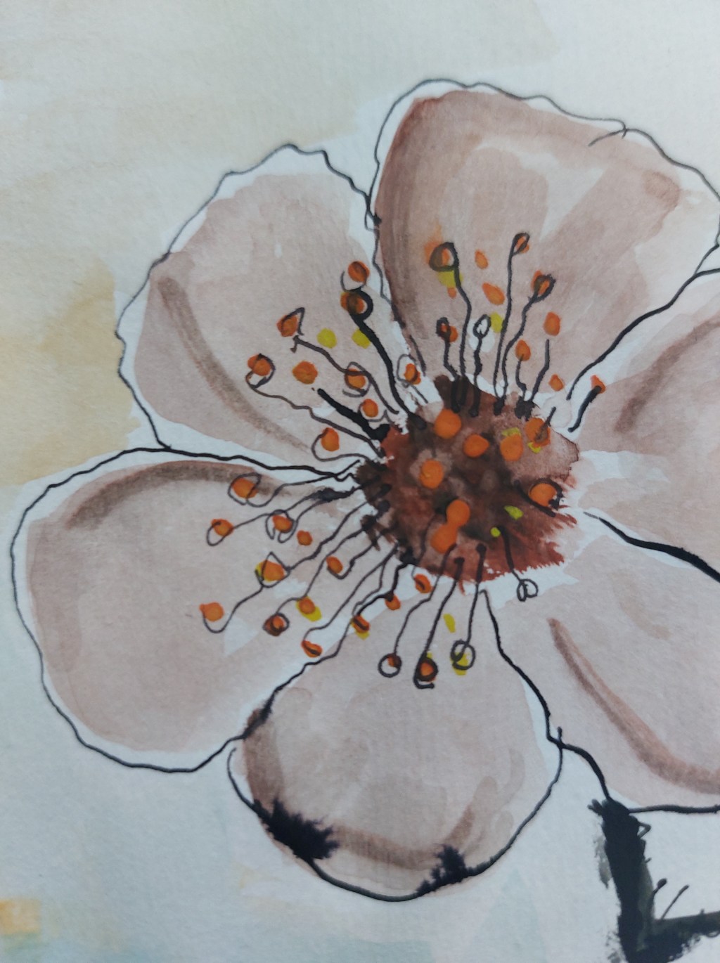 My pleasure 🤎🖤