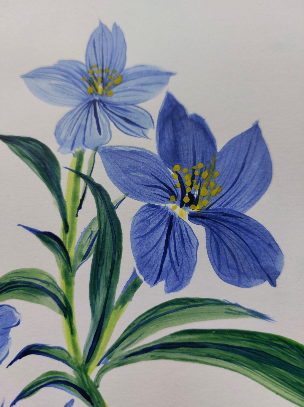 “La creatività richiede coraggio”-Henri Matisse