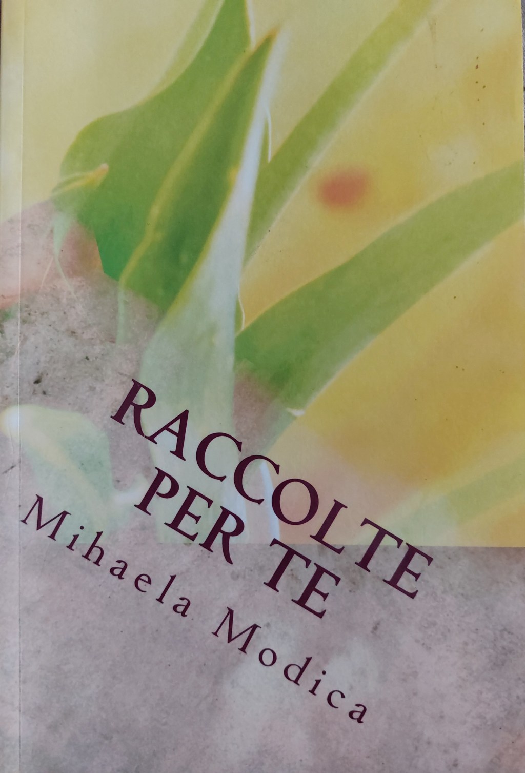Raccolte per te – vol.&nbsp;2