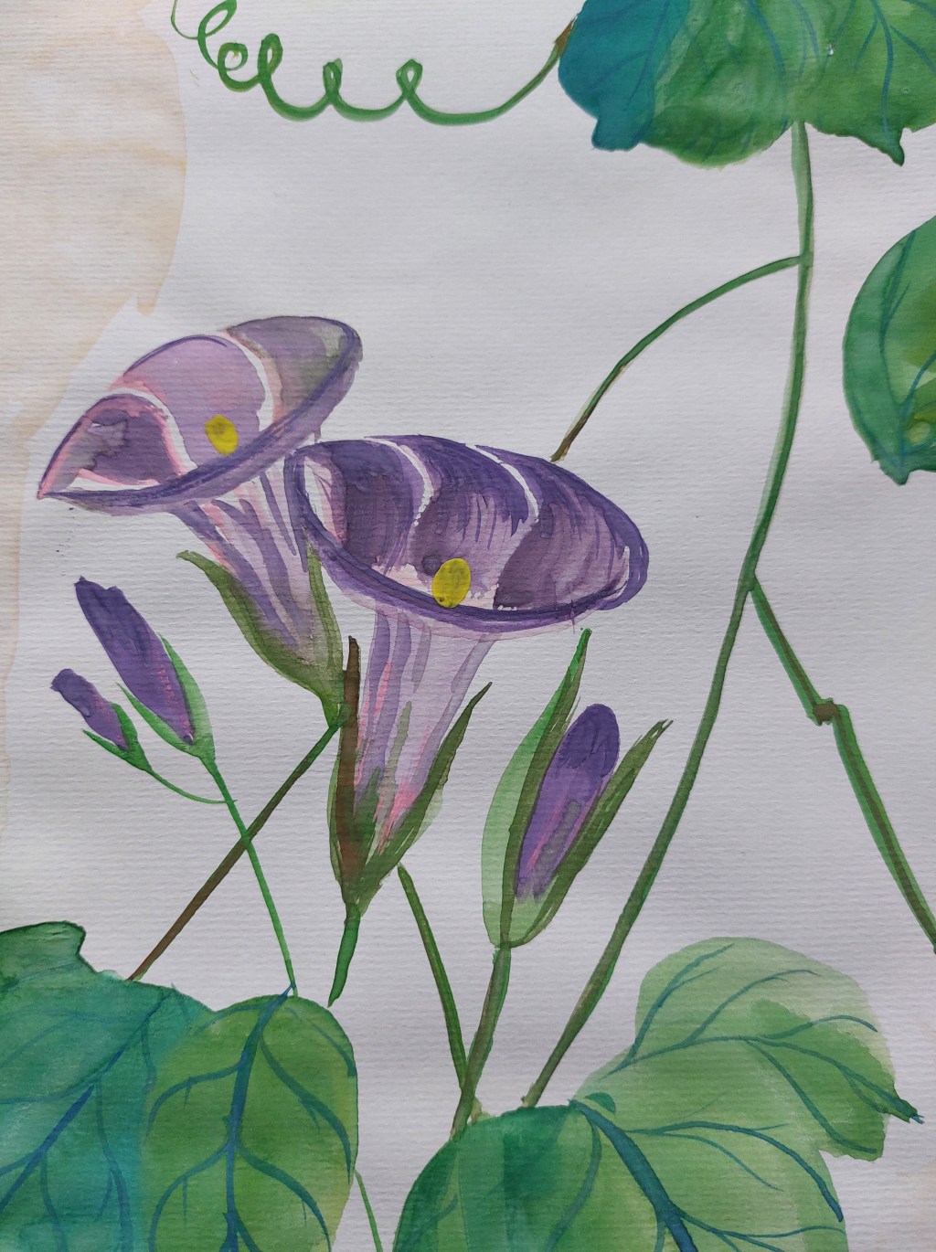 “L’arte è una linea intorno ai tuoi pensieri” -Gustav Klimt&nbsp;💚💜