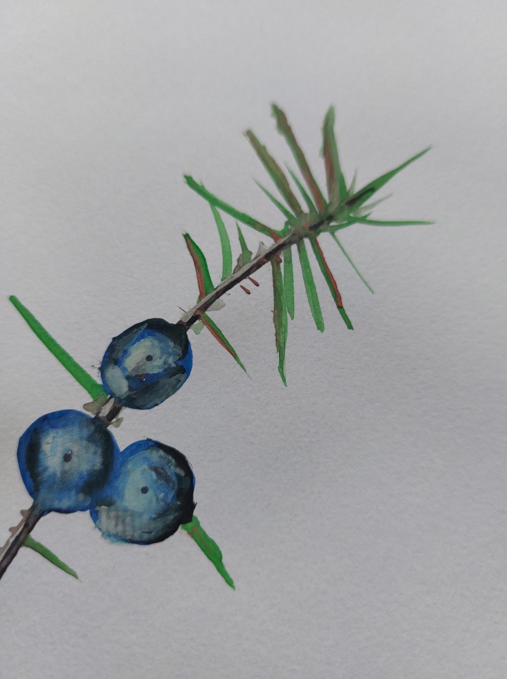 ” Il successo si trova lì dove la preparazione incontra l’opportunità” – Bobby Unser&nbsp;💙💚