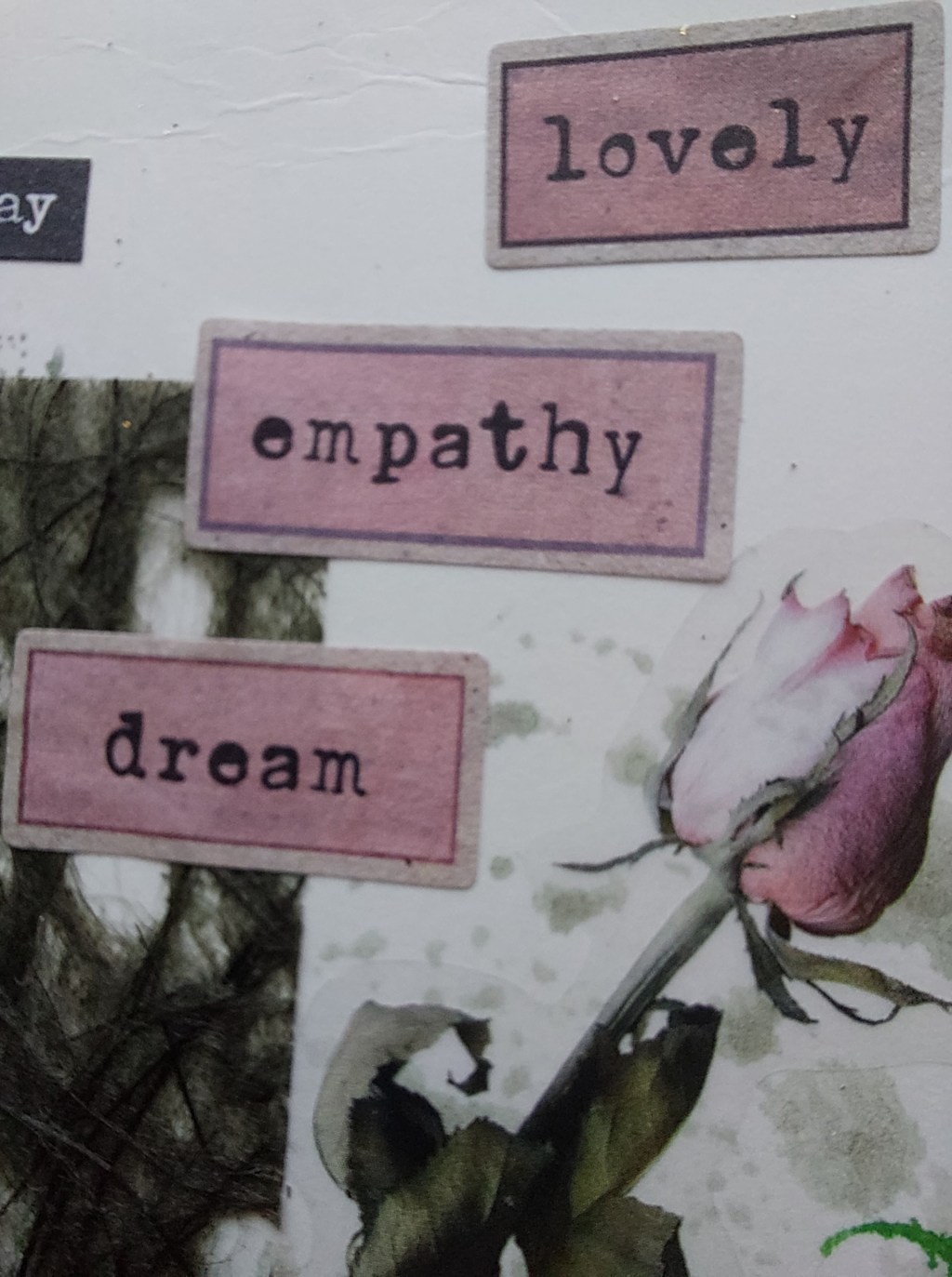 Tanti auguri a me!&nbsp;💚🤎