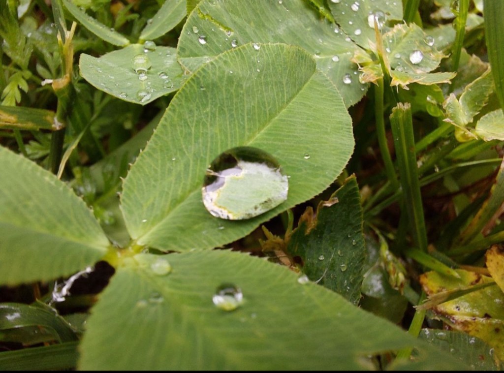 Trova tempo per quello che ti rende felice&nbsp;💚💚
