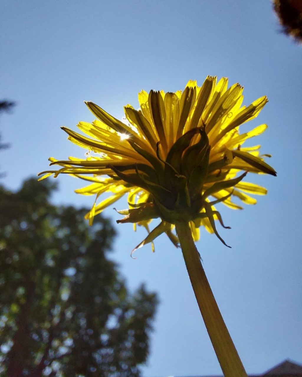 “Un quadro è un poema senza parole”&nbsp;💛💙