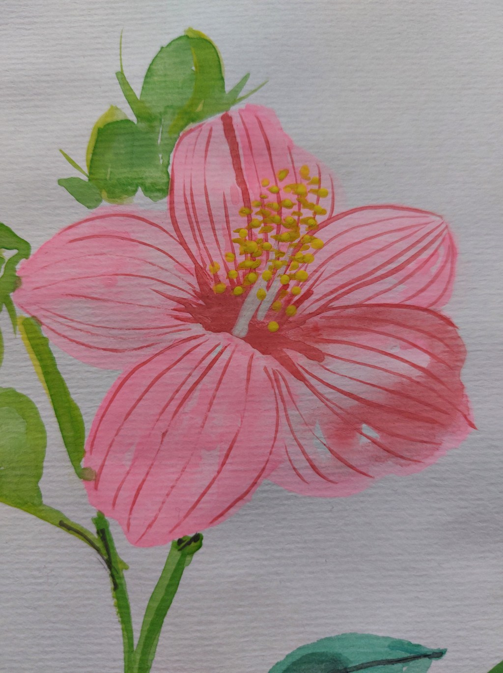 Always protect your happiness&nbsp;💚🩷